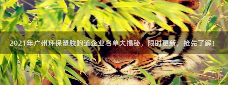 红足一1世官网比分：2021年广州环保塑胶跑道企业名单大揭秘，限时更新，抢先了解！